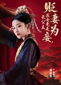 贬妻为妾医女竟是长公主高清播放
