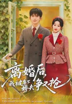 离婚后，我被年下娇夫争又抢在线观看