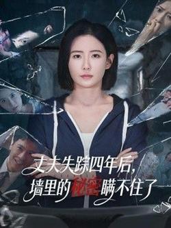 丈夫失踪四年后,墙里的秘密瞒不住了