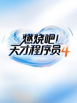 燃烧吧天才程序员 第四季高清播放