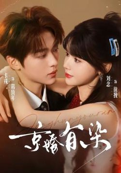 京婚有染在线观看