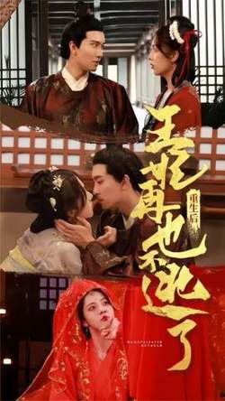 重生后王妃再也不逃了高清播放