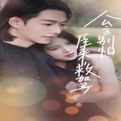 公主别怕，臣来救驾高清播放