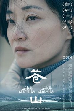 苍山2023