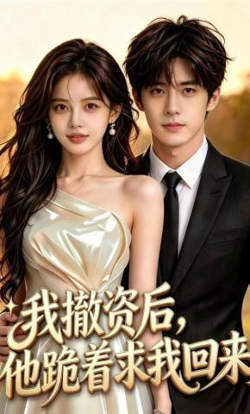 我撤资后,他跪着求我回来