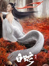 白蛇：情劫高清播放
