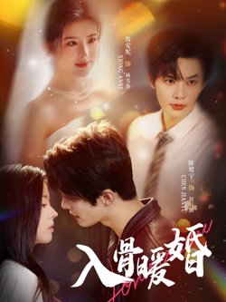 入骨暖婚