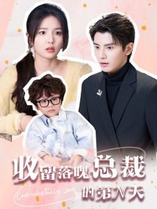 收留落魄总裁的第N天高清播放