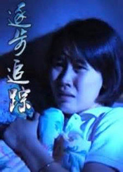 逐步追踪在线观看
