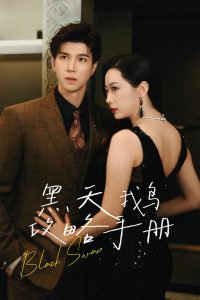 黑天鹅攻略手册高清播放