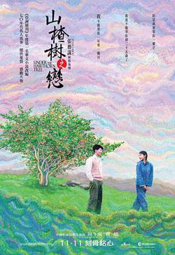 山楂树之恋在线观看