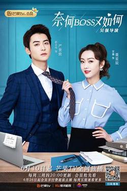 奈何BOSS又如何（越南语版）高清播放