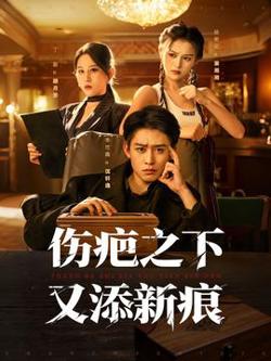 伤疤之下又添新痕高清播放