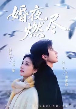 婚夜，燃尽高清播放