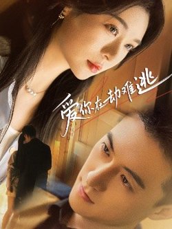 爱你在劫难逃高清播放