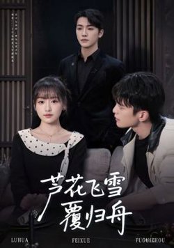 芦花飞雪覆归舟高清播放