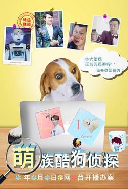 萌族酷狗侦探第三季高清播放