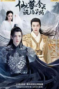 仙尊，今天洗白了吗高清播放