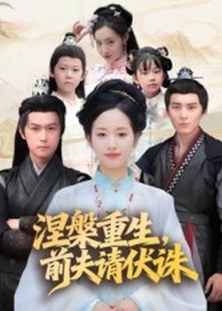 涅槃重生，前夫请伏诛高清播放
