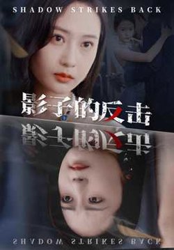 影子的反击高清播放