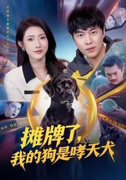 摊牌了，我的狗是哮天犬在线观看