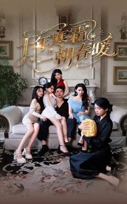 十年寒霜一朝春暖高清播放