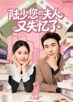 陆少您的夫人又失忆了高清播放