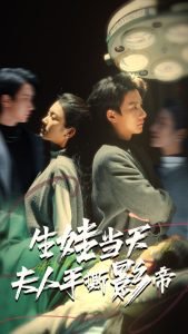 生娃当天夫人手撕影帝高清播放