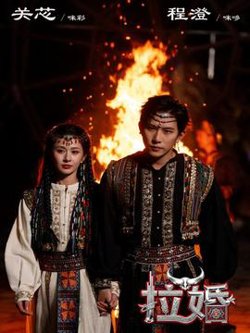 拉婚在线观看