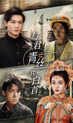 与君青丝共白首高清播放