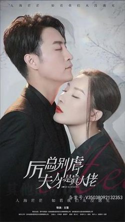 历总别虐了夫人才是真大佬在线观看