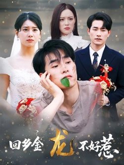 回乡金龙不好惹在线观看