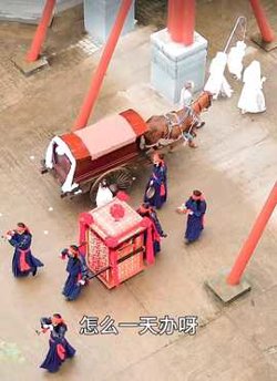 新：王妃她又美又飒103集高清播放