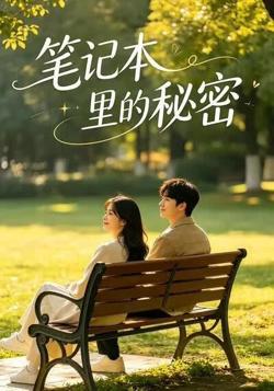 笔记本里的秘密在线观看