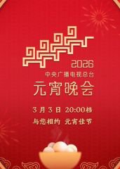 2026年中央广播电视总台元宵晚会高清播放