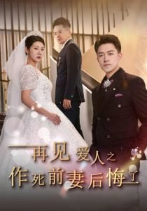 再见爱人之作死前妻后悔了高清播放