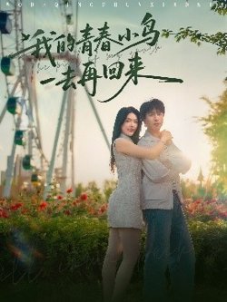 我的青春小鸟一去再回来高清播放
