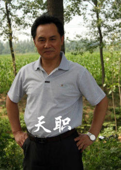 天职2012高清播放