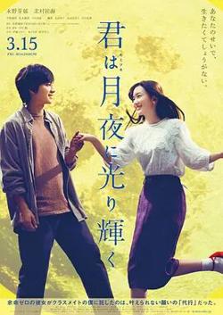 你在月夜里闪耀光辉高清播放