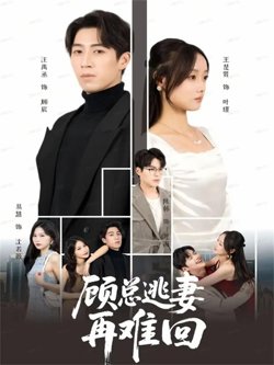 顾总逃妻再难回在线观看