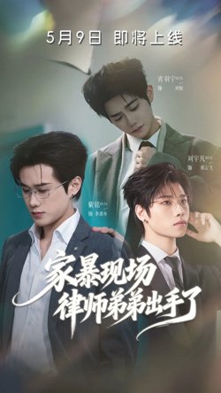 家暴现场律师弟弟出手了高清播放