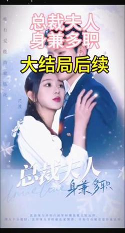 总裁夫人,身兼多职
