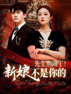 先生别闹了新娘不是你的高清播放