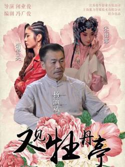 又见牡丹亭高清播放