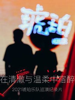 琥珀，在清澈与温柔中宿醉在线观看