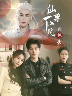 仙尊下凡来娶亲高清播放