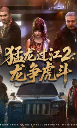 猛龙过江2：龙争虎斗