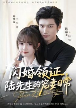 闪婚领证,陆先生的宠妻日常