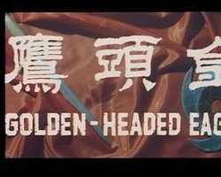 金头鹰粤语在线观看