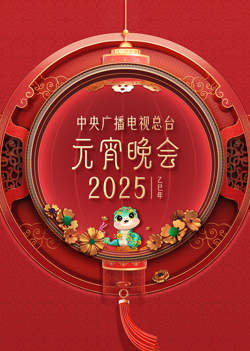 2025年中央广播电视总台元宵晚会高清播放